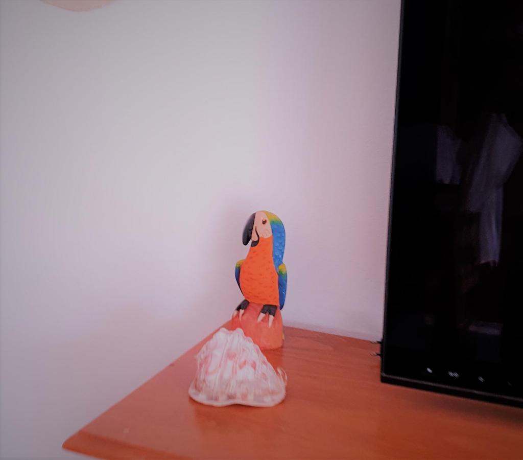 Apartamentos La Libertad 埃斯特波纳 外观 照片